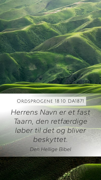 Ordsprogene 18:10 DA1871 Bible Verse Image