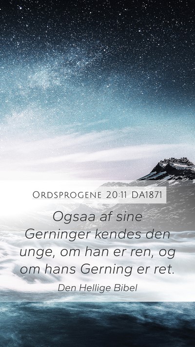 Ordsprogene 20:11 DA1871 Mobile Phone Wallpaper - Ogsaa af sine Gerninger kendes den unge, om han - Mobile Bible Verse Wallpaper