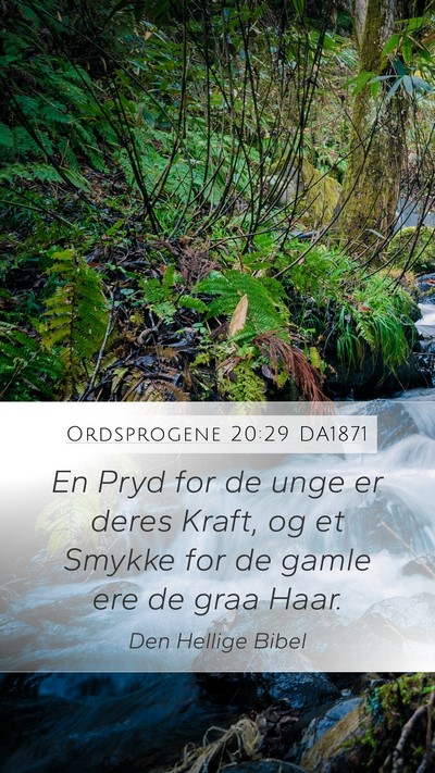 Ordsprogene 20:29 DA1871 Bible Verse Image