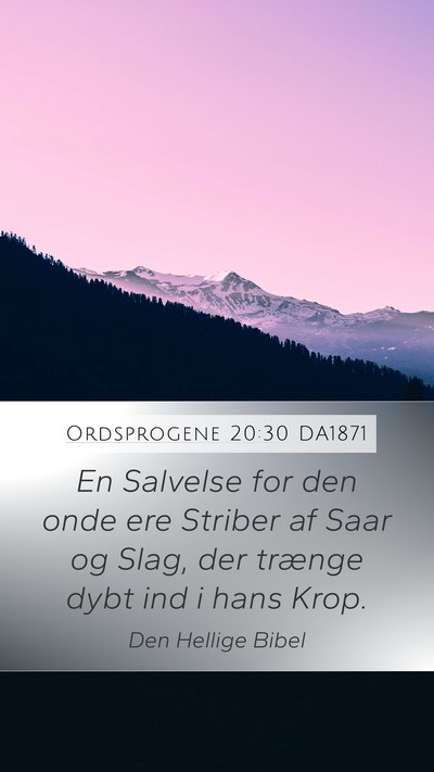 Ordsprogene 20:30 DA1871 Bible Verse Image