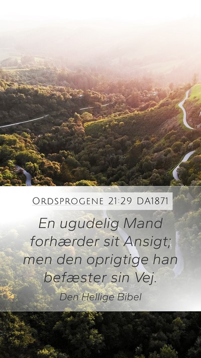 Ordsprogene 21:29 DA1871 Bible Verse Image