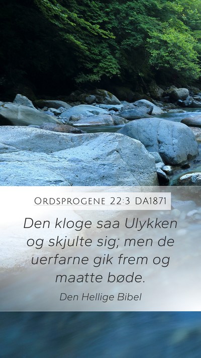 Ordsprogene 22:3 DA1871 Bible Verse Image