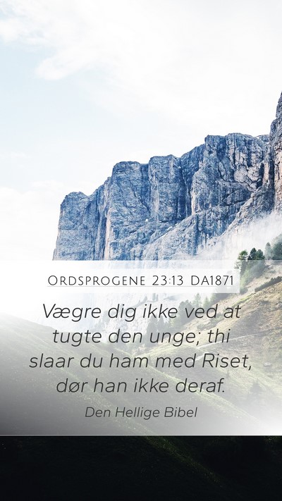 Ordsprogene 23:13 DA1871 Bible Verse Image