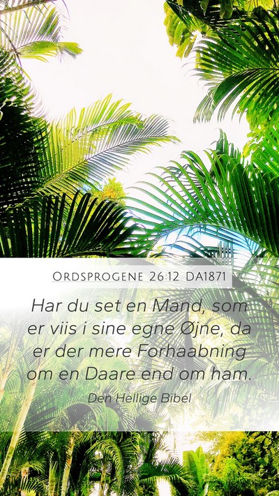Ordsprogene 26:12 DA1871 Mobile Phone Wallpaper - Har du set en Mand, som er viis i sine egne - Mobile Bible Verse Wallpaper