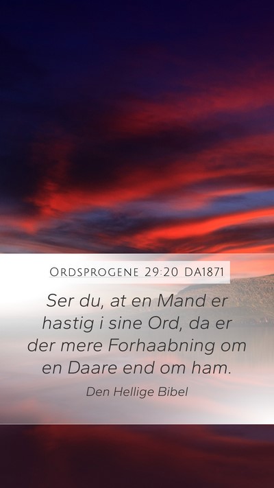 Ordsprogene 29:20 DA1871 Bible Verse Image