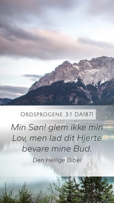 Ordsprogene 3:1 DA1871 Mobile Phone Wallpaper - Min Søn! glem ikke min Lov, men lad dit Hjerte - Mobile Bible Verse Wallpaper