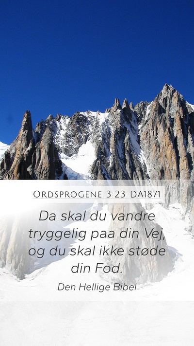 Ordsprogene 3:23 DA1871 Bible Verse Image