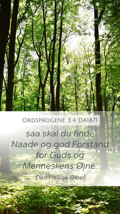 Ordsprogene 3:4 DA1871 Bible Verse Image