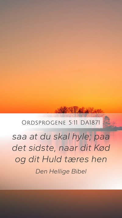 Ordsprogene 5:11 DA1871 Mobile Phone Wallpaper - saa at du skal hyle; paa det sidste, naar dit - Mobile Bible Verse Wallpaper