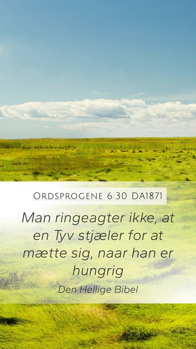 Ordsprogene 6:30 DA1871 Bible Verse Image