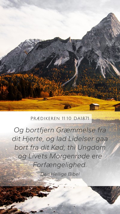 Prædikeren 11:10 DA1871 Bible Verse Image