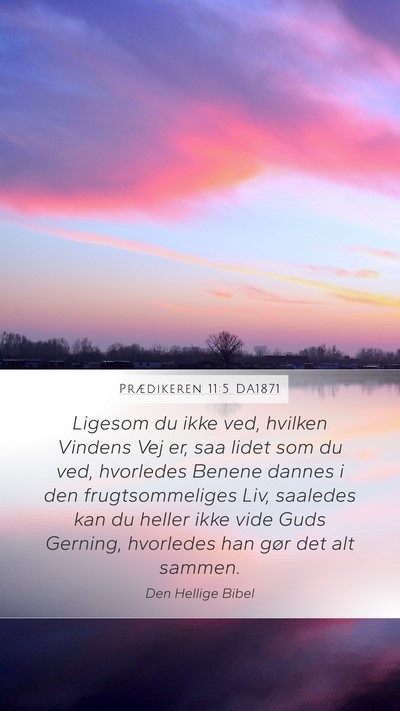 Prædikeren 11:5 DA1871 Bible Verse Image