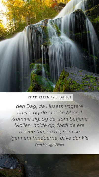 Prædikeren 12:3 DA1871 Bible Verse Image