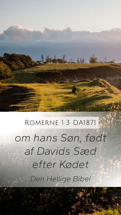 Romerne 1:3 DA1871 Bible Verse Image