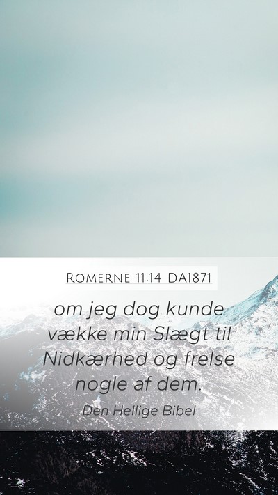 Romerne 11:14 DA1871 Bible Verse Image