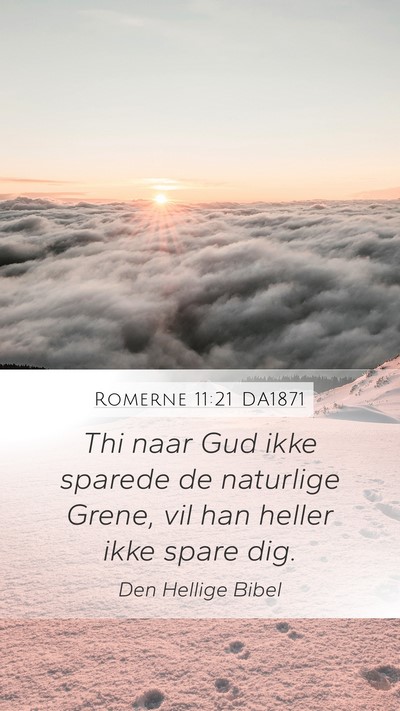 Romerne 11:21 DA1871 Mobile Phone Wallpaper - Thi naar Gud ikke sparede de naturlige Grene, vil - Mobile Bible Verse Wallpaper