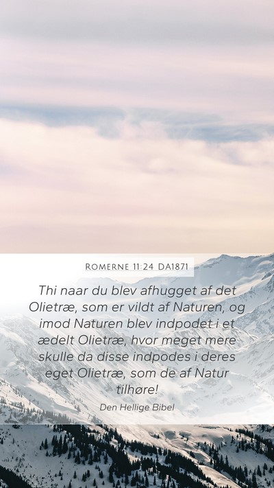 Romerne 11:24 DA1871 Bible Verse Image