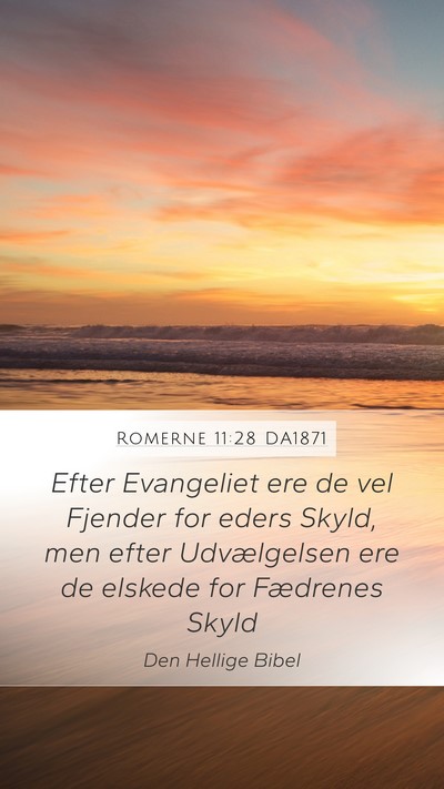 Romerne 11:28 DA1871 Bible Verse Image