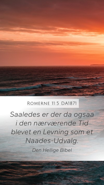 Romerne 11:5 DA1871 Bible Verse Image