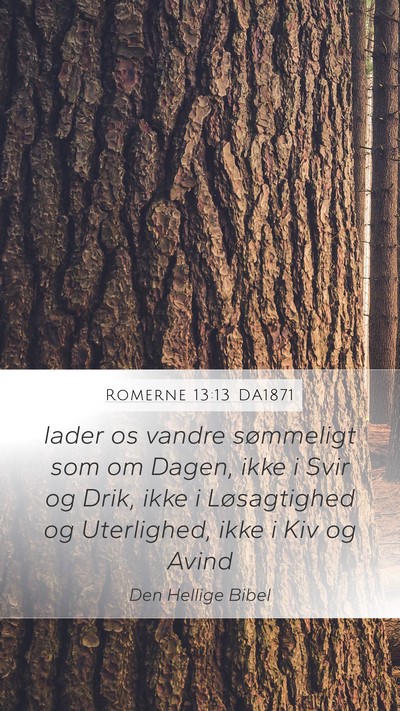 Romerne 13:13 DA1871 Bible Verse Image