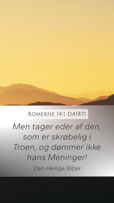 Romerne 14:1 DA1871 Bible Verse Image