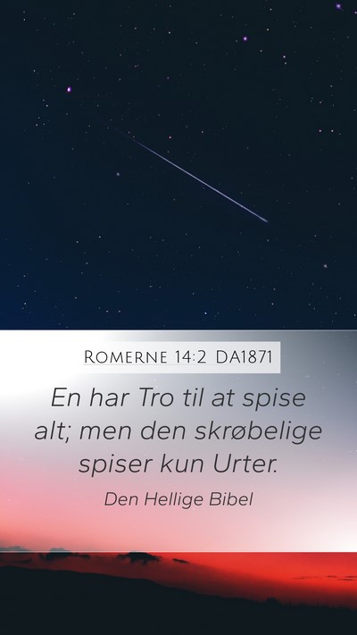 Romerne 14:2 DA1871 Bible Verse Image