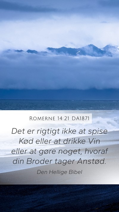 Romerne 14:21 DA1871 Bible Verse Image