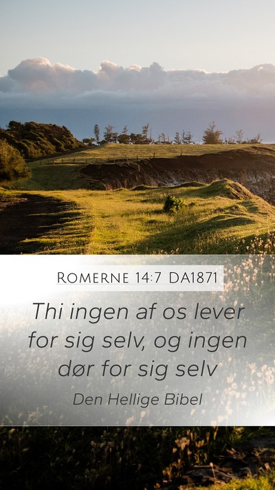 Romerne 14:7 DA1871 Bible Verse Image