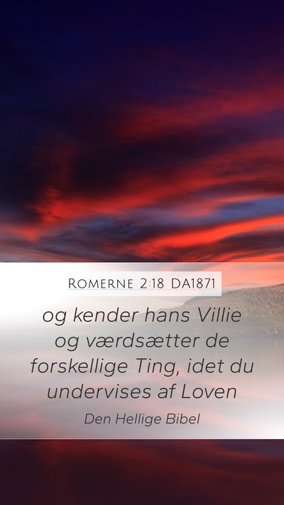 Romerne 2:18 DA1871 Bible Verse Image
