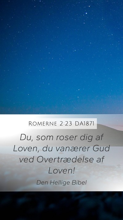 Romerne 2:23 DA1871 Bible Verse Image