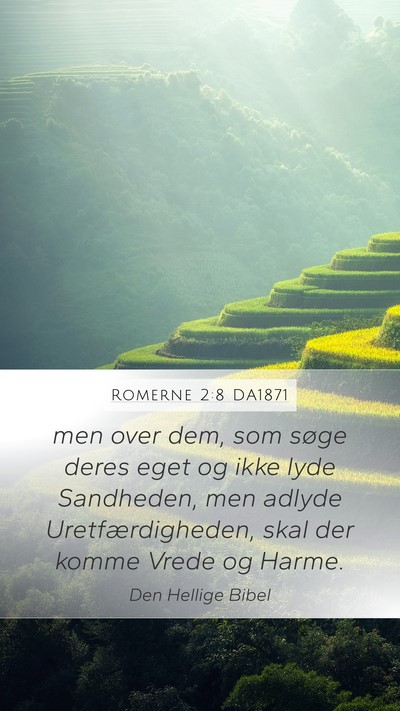Romerne 2:8 DA1871 Bible Verse Image