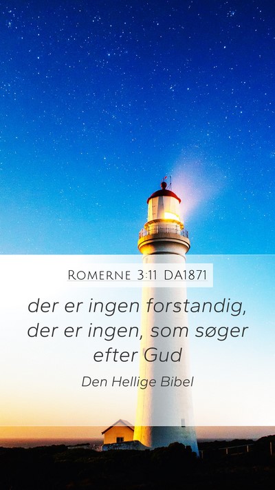 Romerne 3:11 DA1871 Bible Verse Image