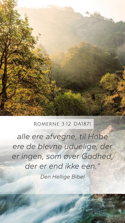 Romerne 3:12 DA1871 Bible Verse Image