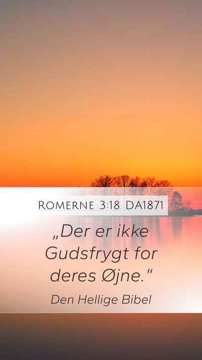 Romerne 3:18 DA1871 Bible Verse Image