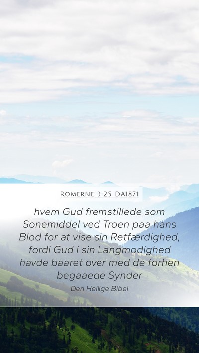 Romerne 3:25 DA1871 Bible Verse Image