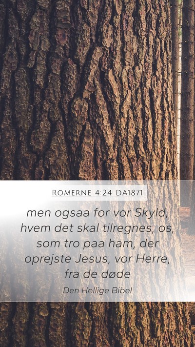 Romerne 4:24 DA1871 Bible Verse Image