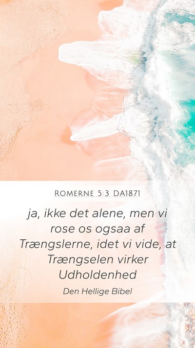 Romerne 5:3 DA1871 Bible Verse Image