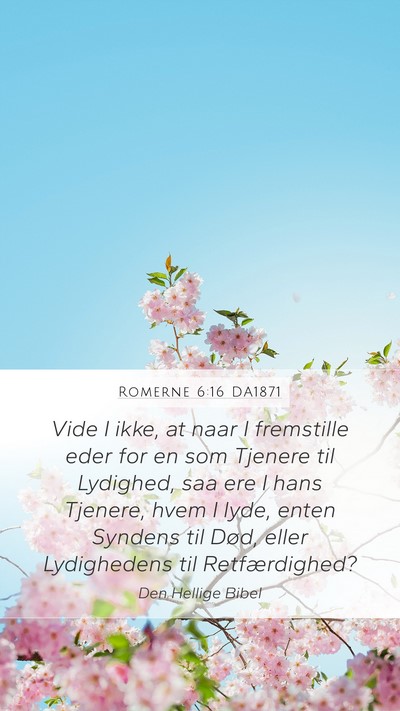 Romerne 6:16 DA1871 Bible Verse Image