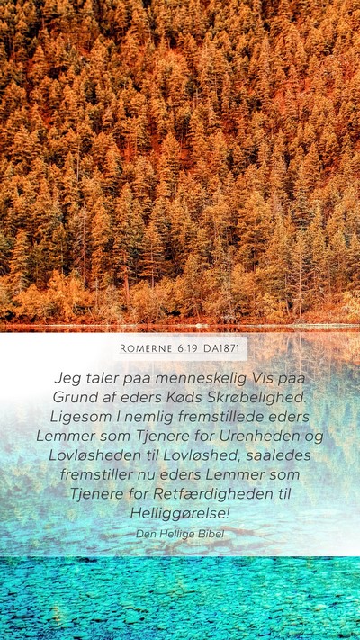 Romerne 6:19 DA1871 Bible Verse Image