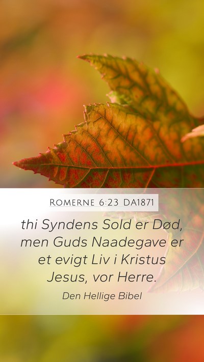 Romerne 6:23 DA1871 Bible Verse Image