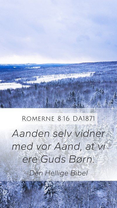 Romerne 8:16 DA1871 Bible Verse Image