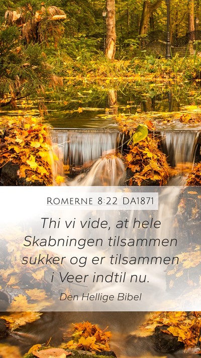 Romerne 8:22 DA1871 Bible Verse Image