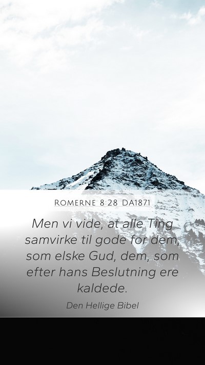 Romerne 8:28 DA1871 Bible Verse Image