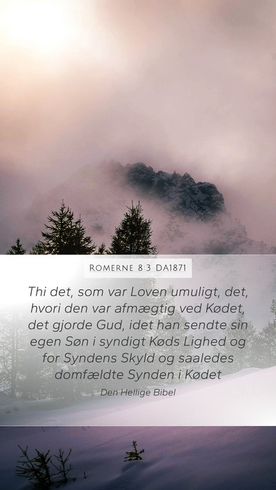 Romerne 8:3 DA1871 Bible Verse Image