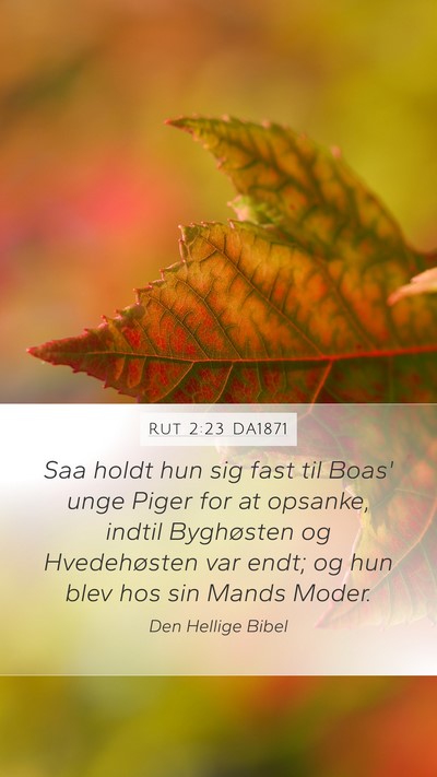 Rut 2:23 DA1871 Bible Verse Image