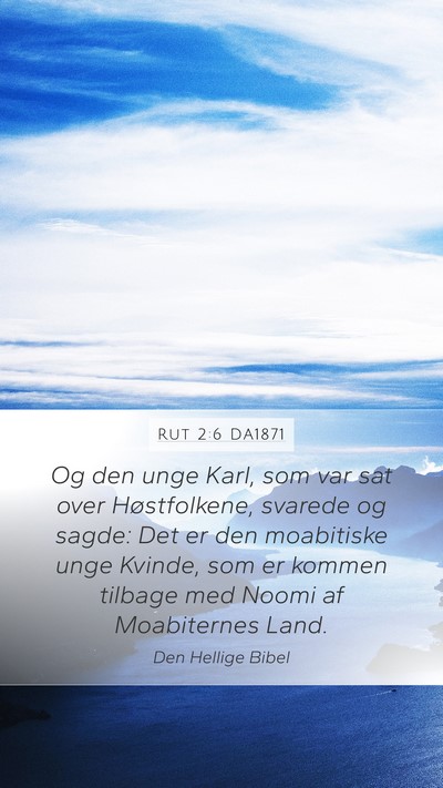 Rut 2:6 DA1871 Mobile Phone Wallpaper - Og den unge Karl, som var sat over Høstfolkene, - Mobile Bible Verse Wallpaper