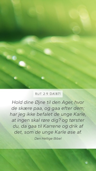 Rut 2:9 DA1871 Mobile Phone Wallpaper - Hold dine Øjne til den Ager, hvor de skære paa, - Mobile Bible Verse Wallpaper