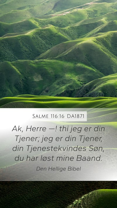 Salme 116:16 DA1871 Bible Verse Image