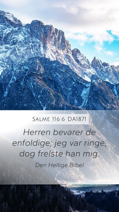 Salme 116:6 DA1871 Bible Verse Image