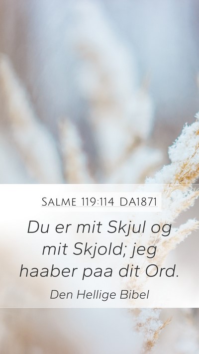 Salme 119:114 DA1871 Bible Verse Image